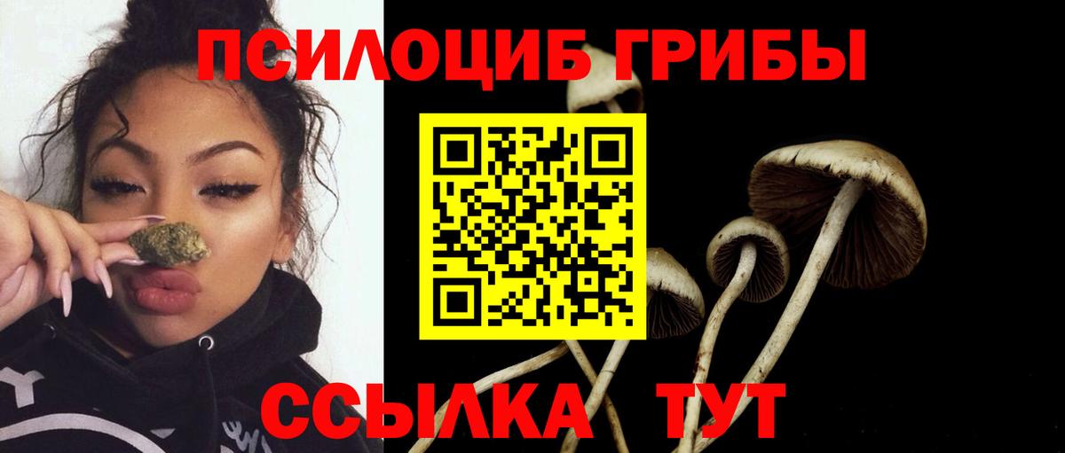 Кунгур  Галлюциногенные грибы мухоморы  Вход с VPN  как найти наркотики  Псилоцибиновые грибы мицелий 